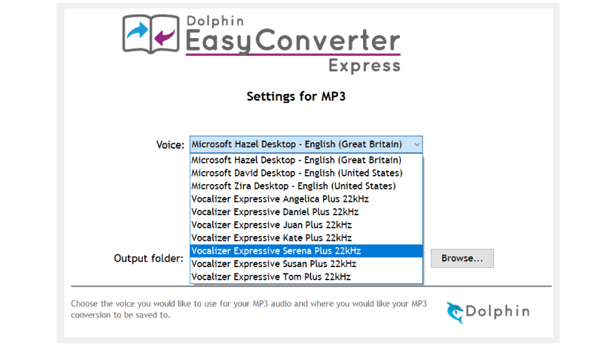 Screen shot showing settings for converting into an MP3 Document.